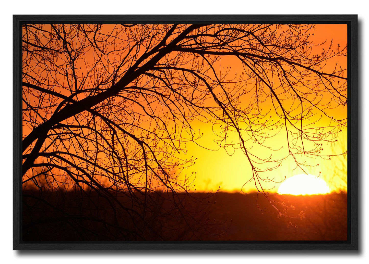Kansas Sunset